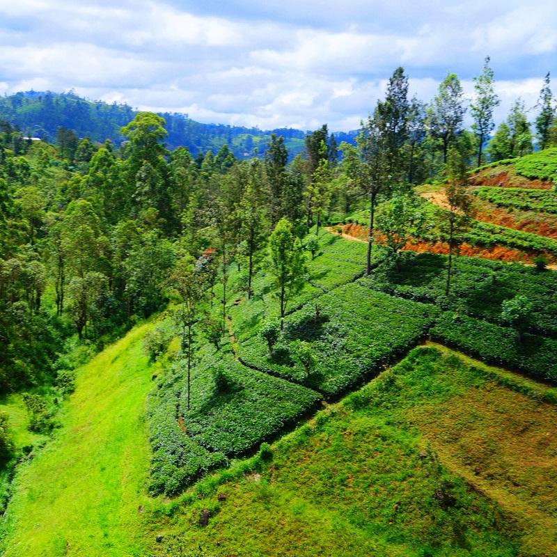 wyprawy sri lanka