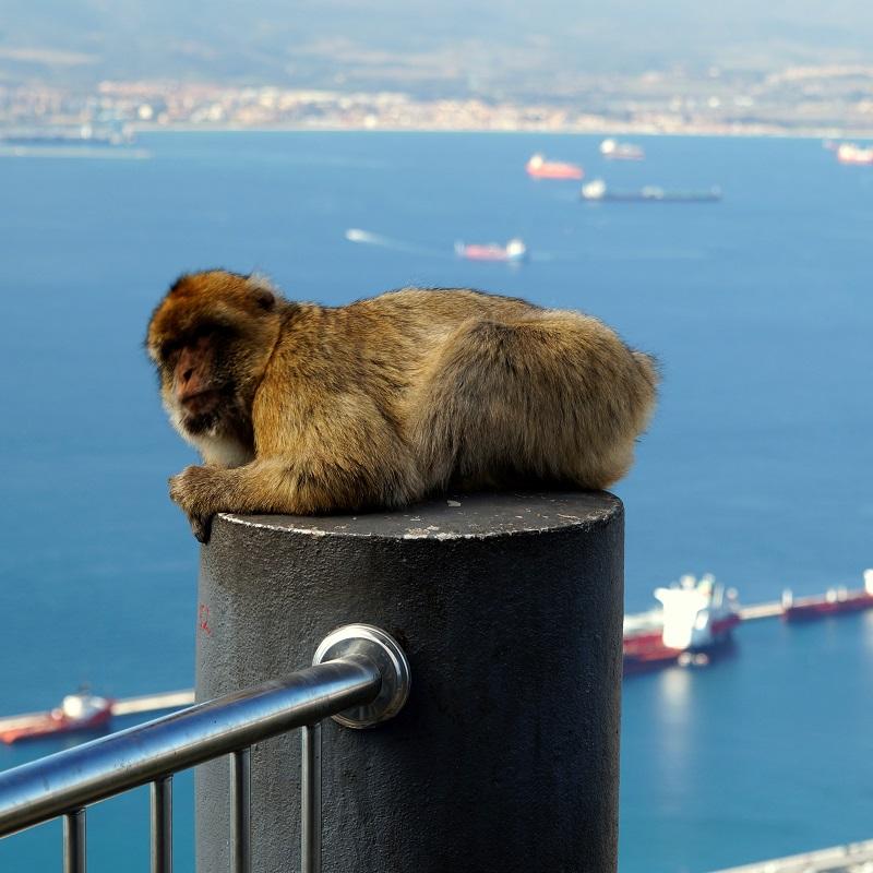 andaluzja gibraltar