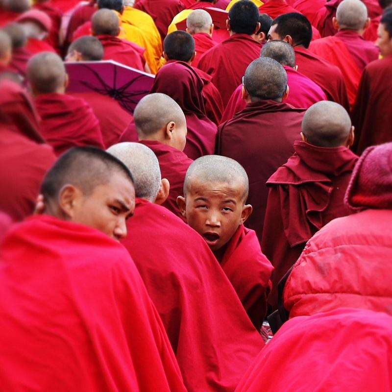 wyprawy do ladakhu