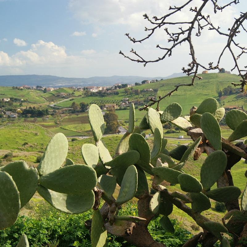 sycylia co zobaczyc