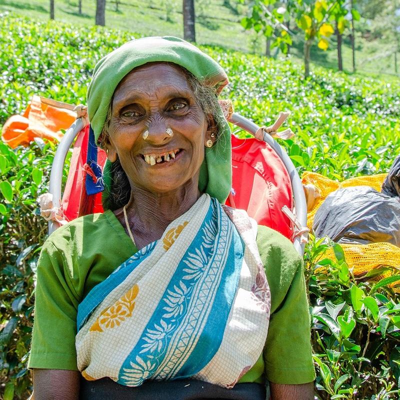 sri lanka wyprawy soliści