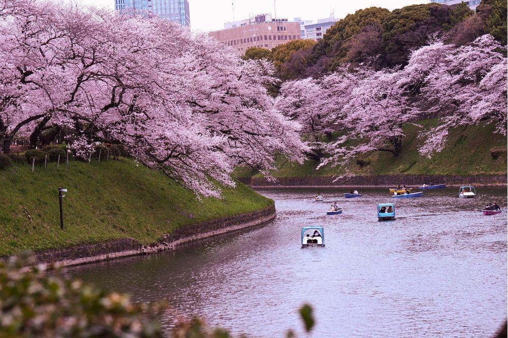 wycieczki do japonii rainbow