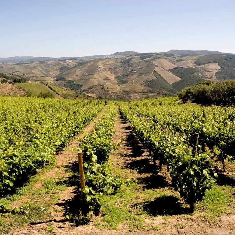 porto wycieczka lotnicza