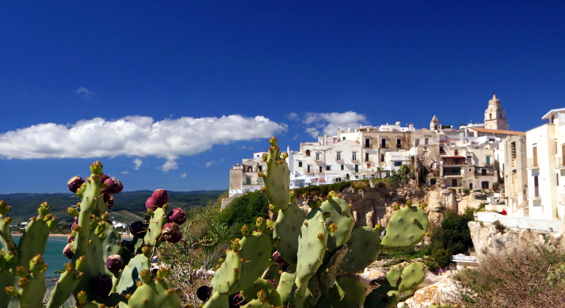 Apulia i jej adriatycka perełka – Vieste