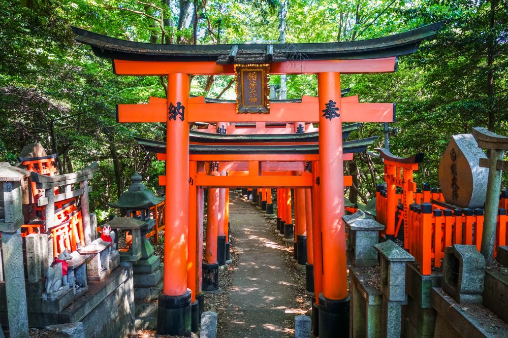 wycieczki objazdowe do japonii