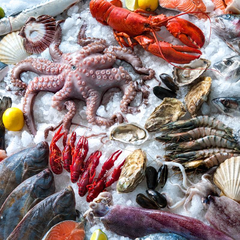 grecja wycieczki objazdowe