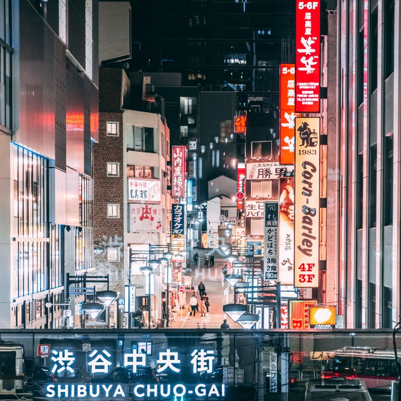 wyjazdy do japonii