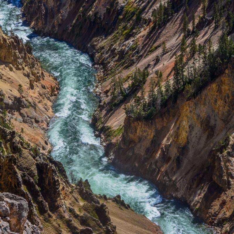 wycieczki do yellowstone