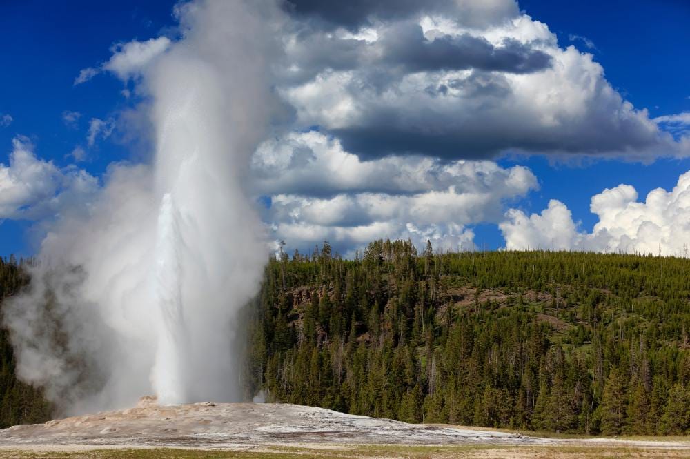 wyjazdy do stanów zjednoczonych