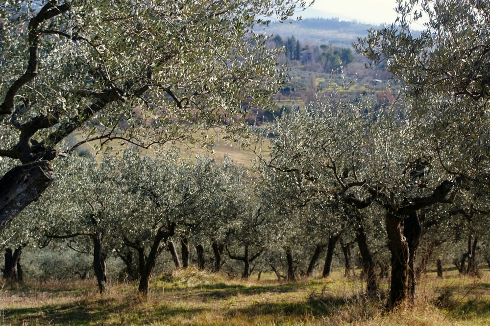 wycieczki do włoch samolotem