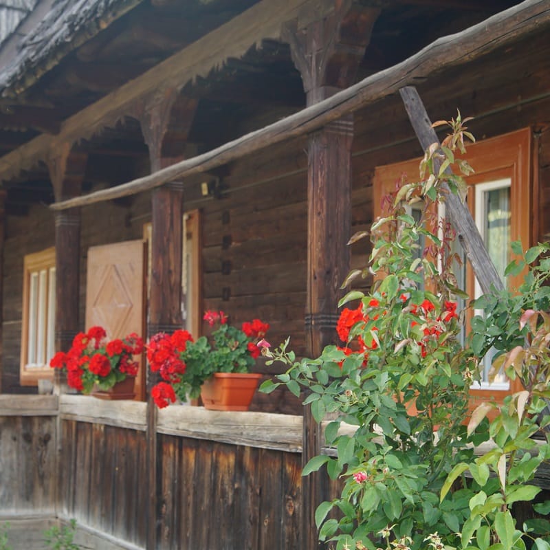 rumunia wycieczka cena