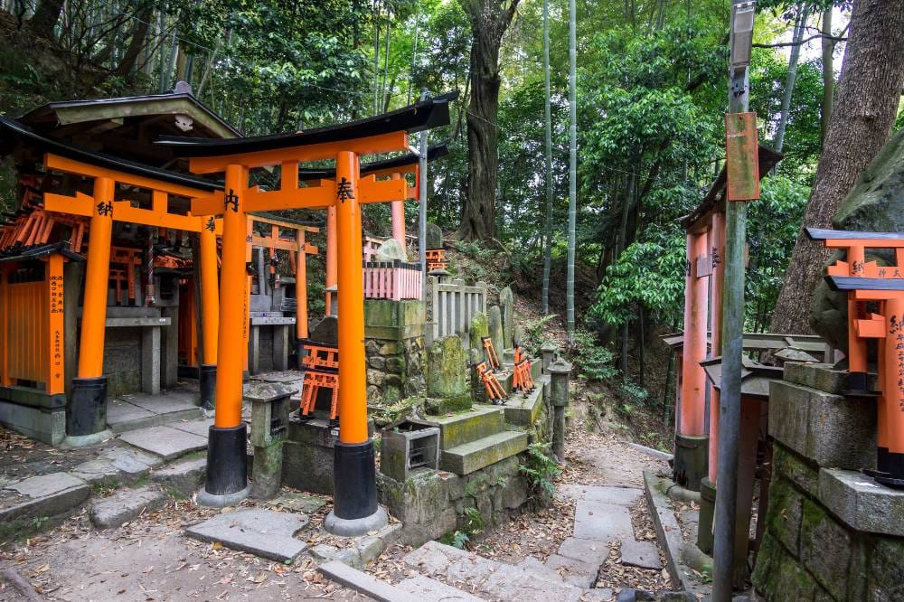 wycieczka do japonii rainbow