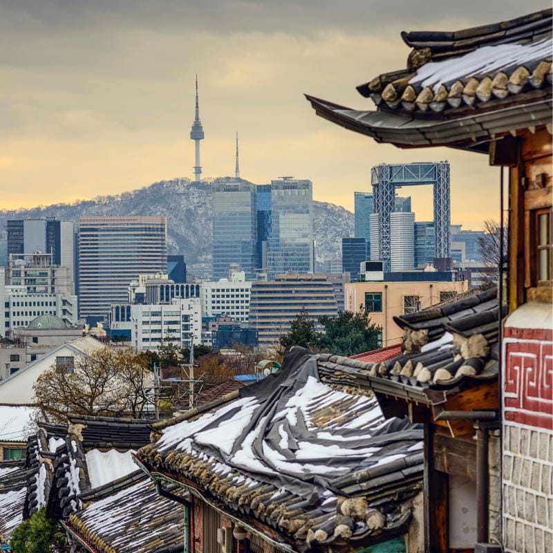 rainbow wycieczki do korei