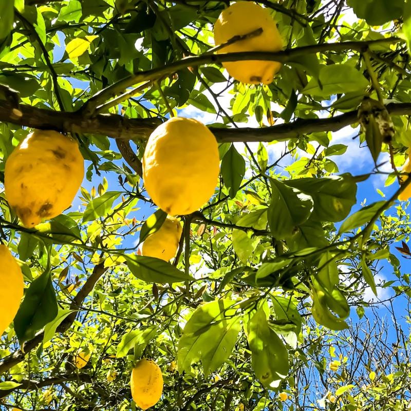 neapol weekend lotniczy