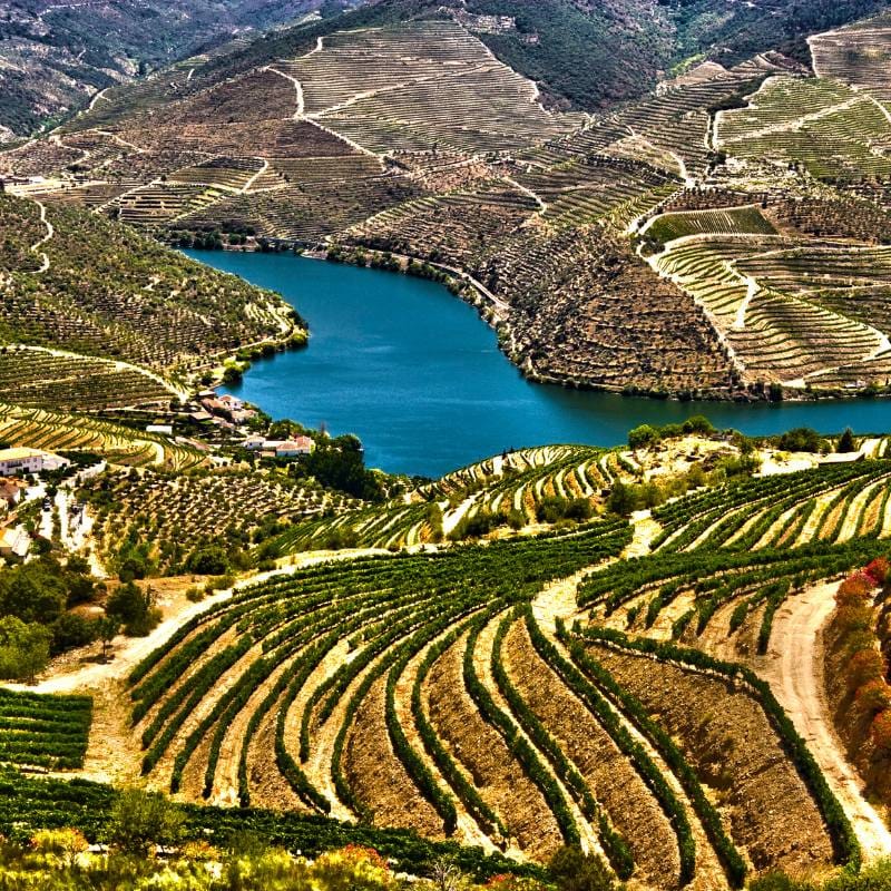 dolina duoro wycieczka