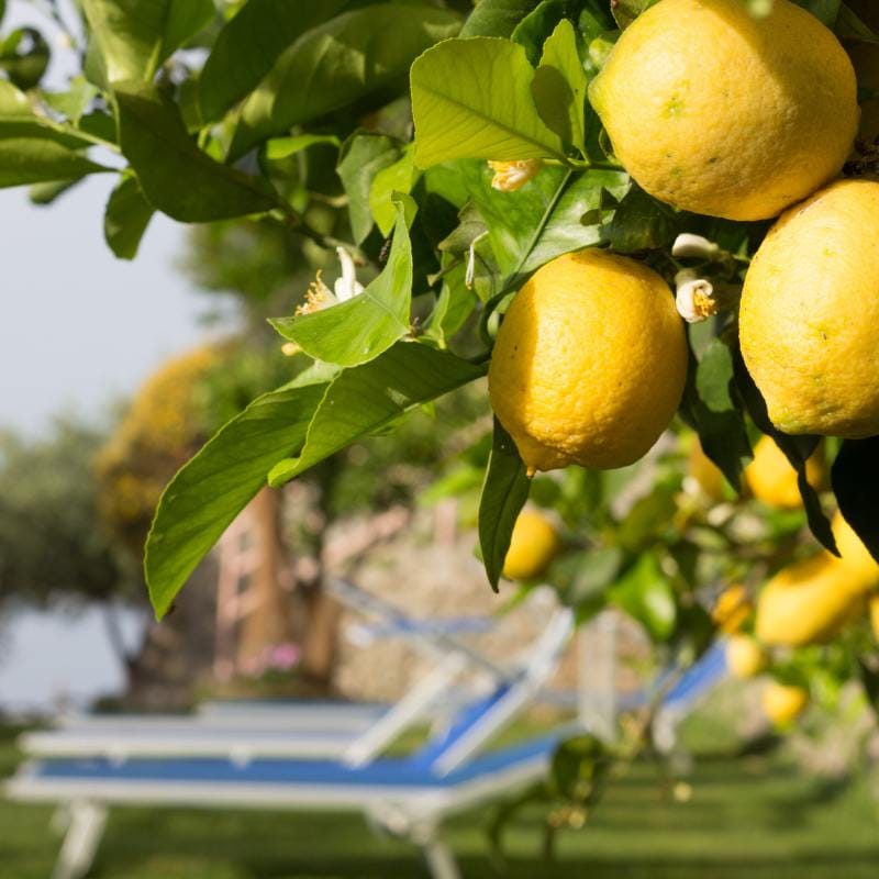 neapol wycieczka samolotem