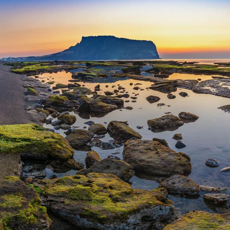 wycieczki na jeju