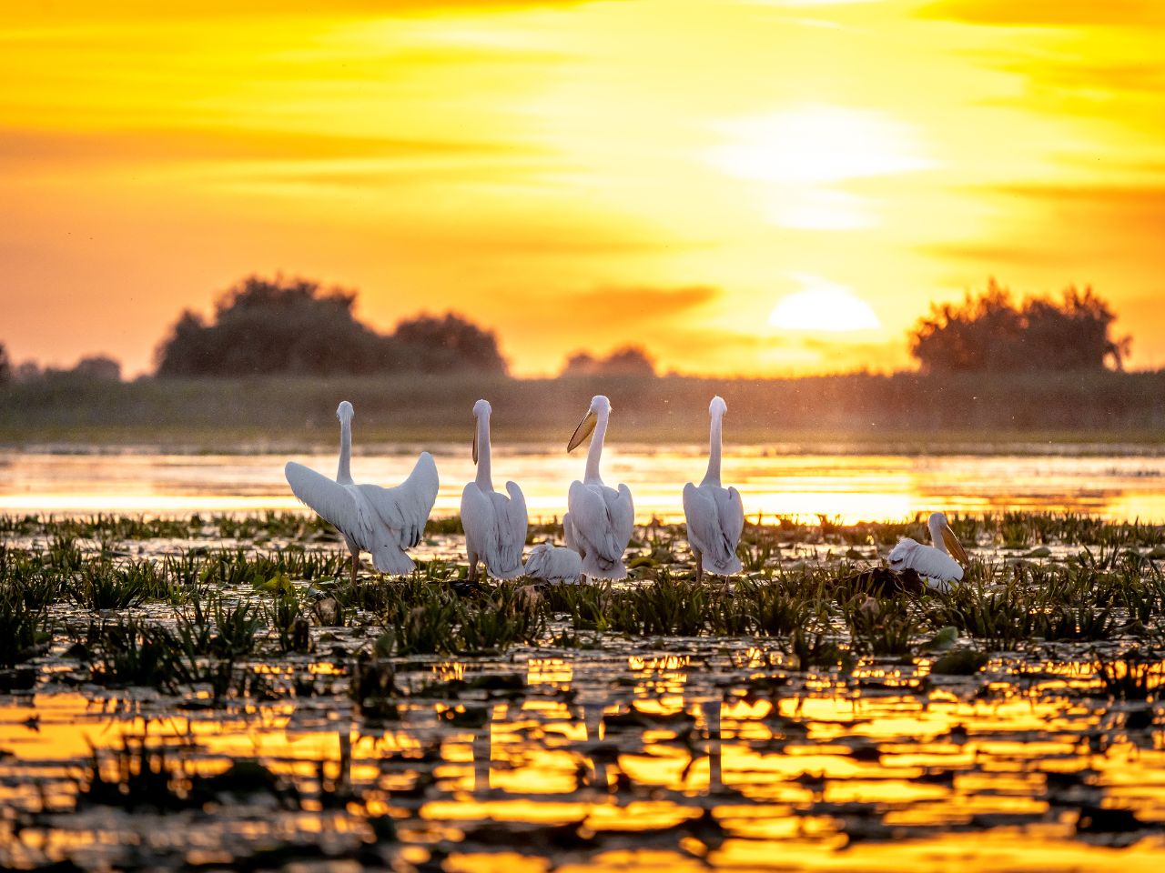 Wycieczka do Rumunii (Delta Dunaju) - Rybacka przygoda na Dunaju