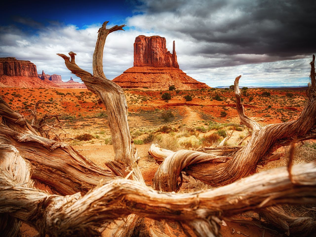 Wycieczka do Parków Narodowych USA - Wydmy, skały i kaniony,