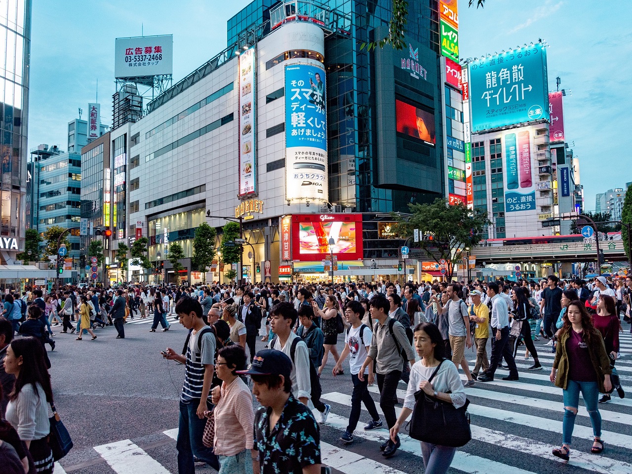 Skrzyżowanie w Shibuya